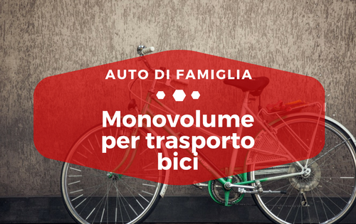 Monovolume per trasporto bici - Auto di Famiglia
